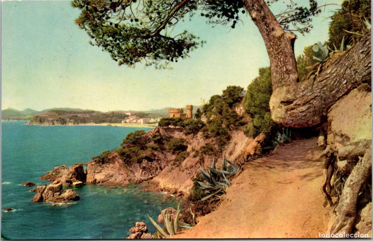 Postales: Lloret de Mar - Camino a Cala Trons - Zerkowitz 4/8 - 139x91mm