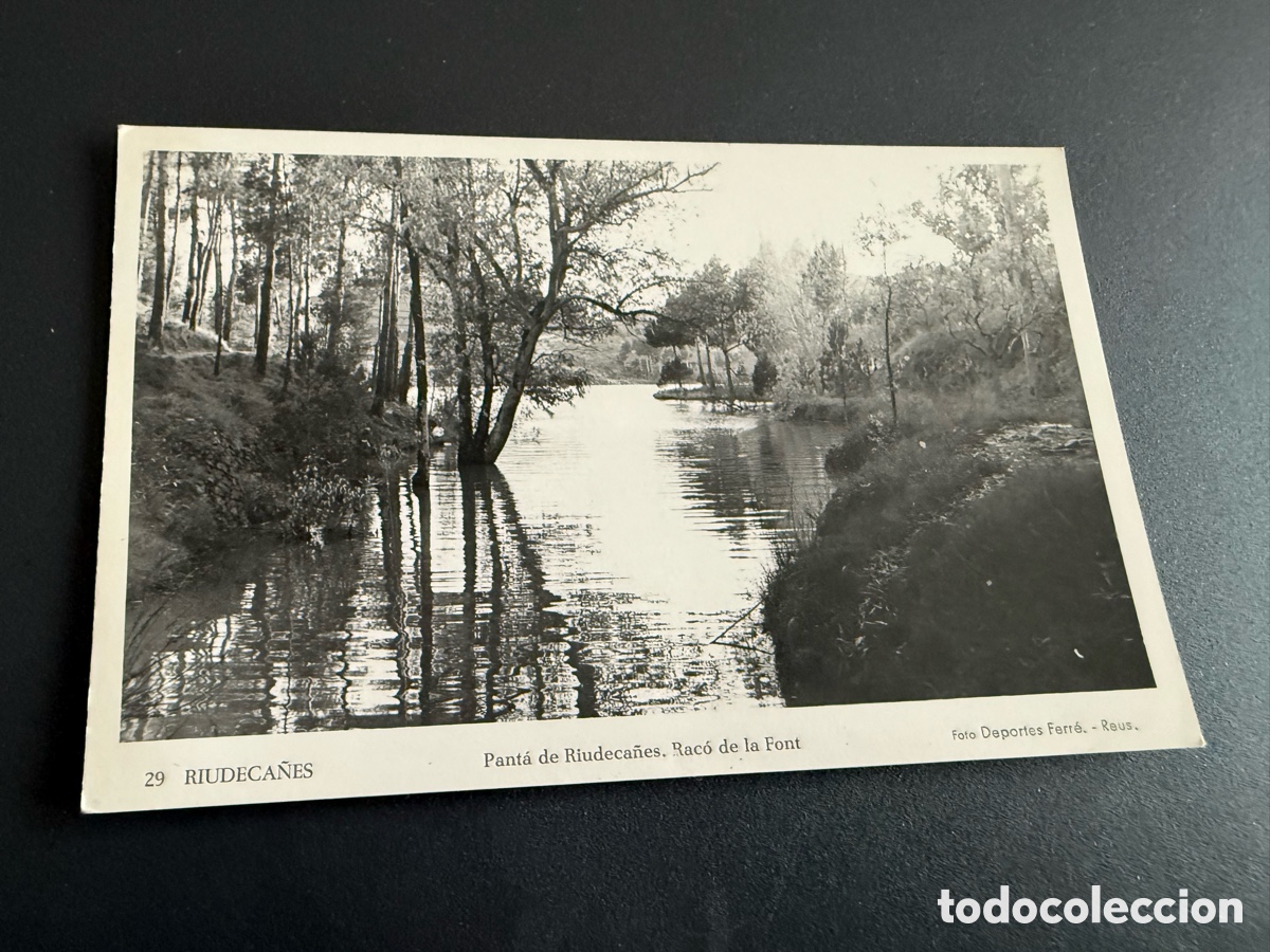 Postales: Postal RIUDECA&Ntilde;ES. Pantano