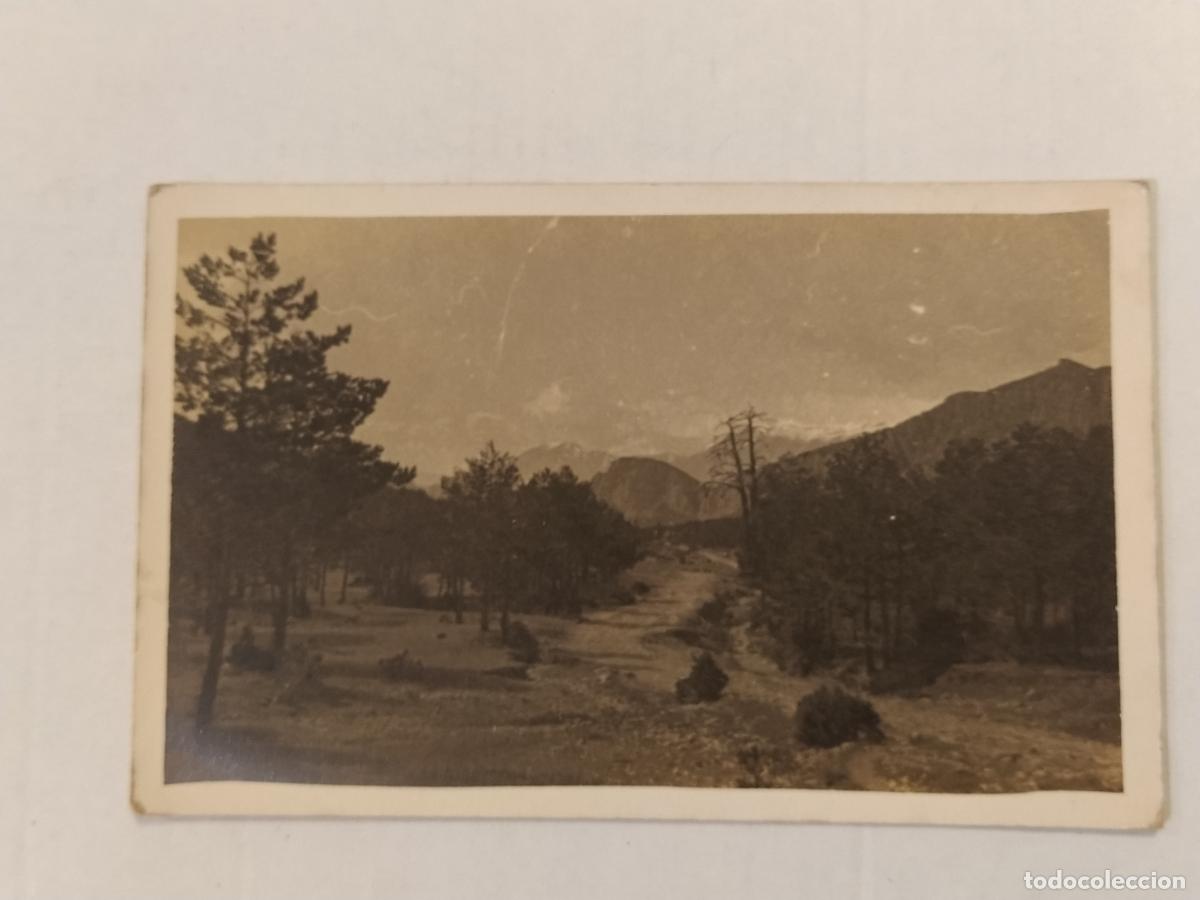 Postales: LUGAR SIN IDENTIFICAR - FOTOGRAFICA -POSTAL ANTIGUA-(116.158)