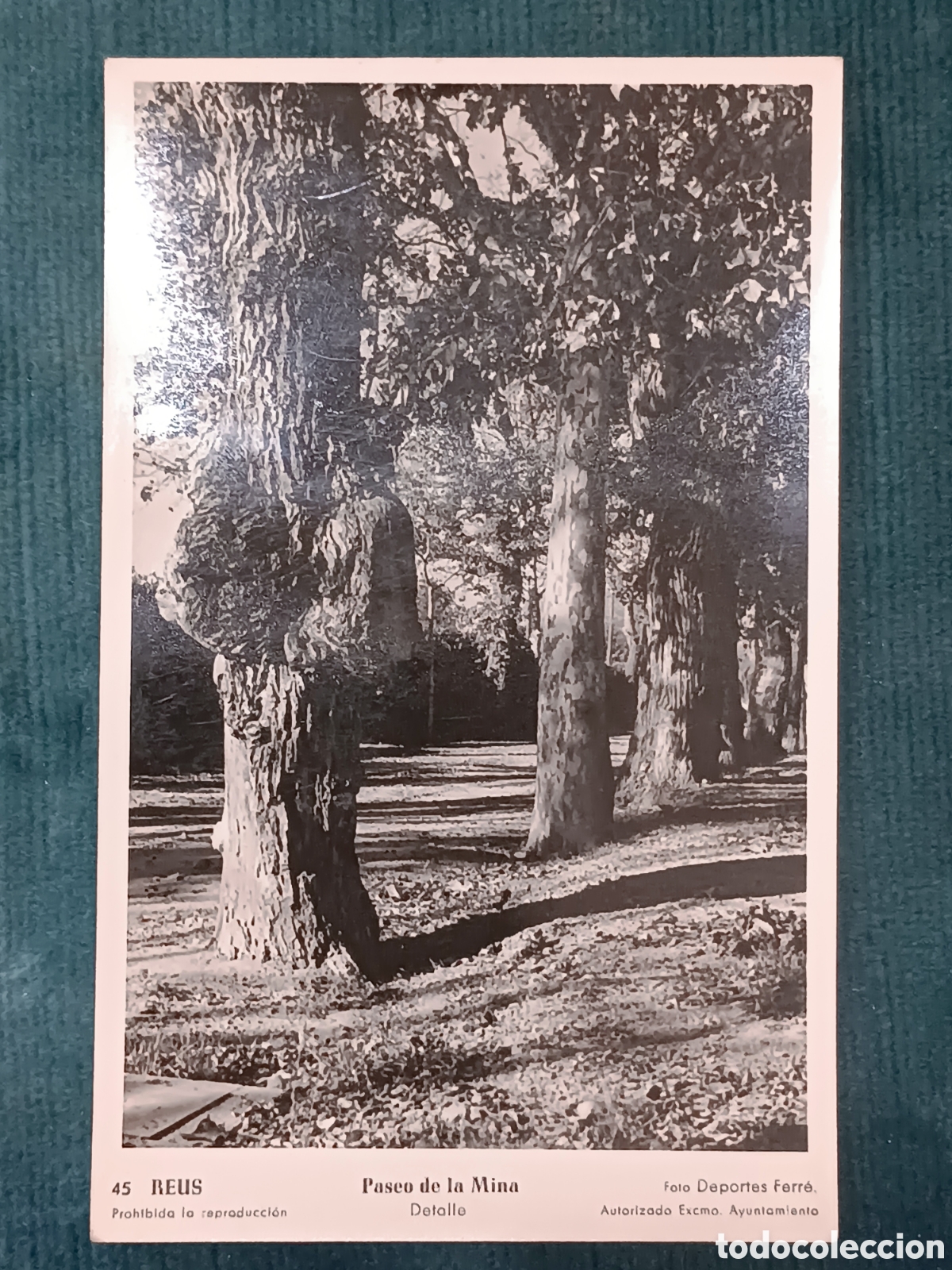Postales: 45 REUS. Paseo de la Mina. Detalle