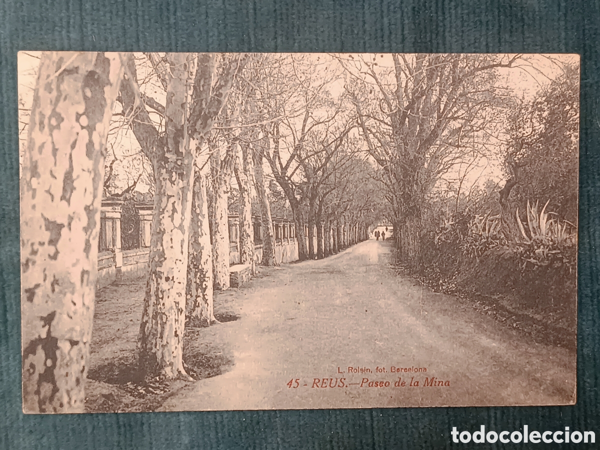 Postales: 45 REUS. Paseo de la Mina.