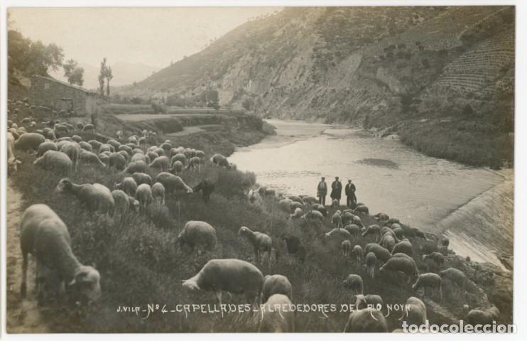 Postales: a11348 Capellades Alrededores Del Rio Noya Vila N&ordm;4 sc fotografica animada ovejas