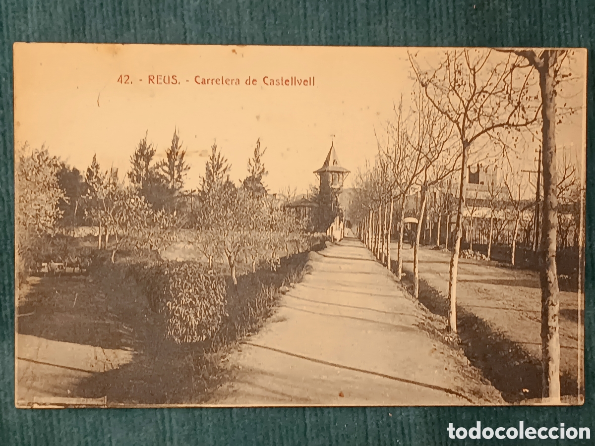 Postales: 42 REUS. Carretera de Castellvell