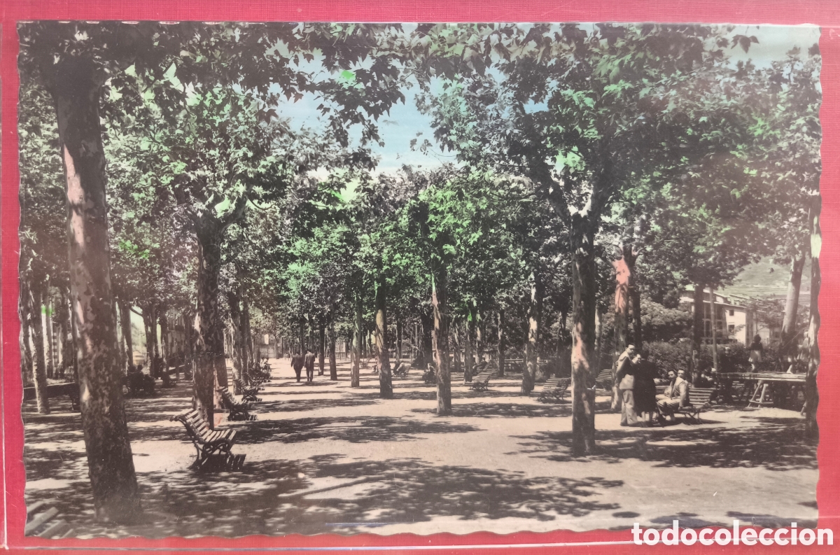 Postales: RIPOLL PASSEIG RAGULL POSTAL FOTOGR&Aacute;FICA COLOREADA GIRONA C. 1955