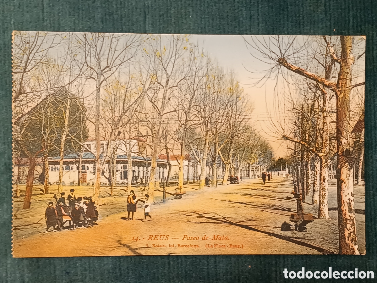 Postales: 14 REUS. Paseo de Mata