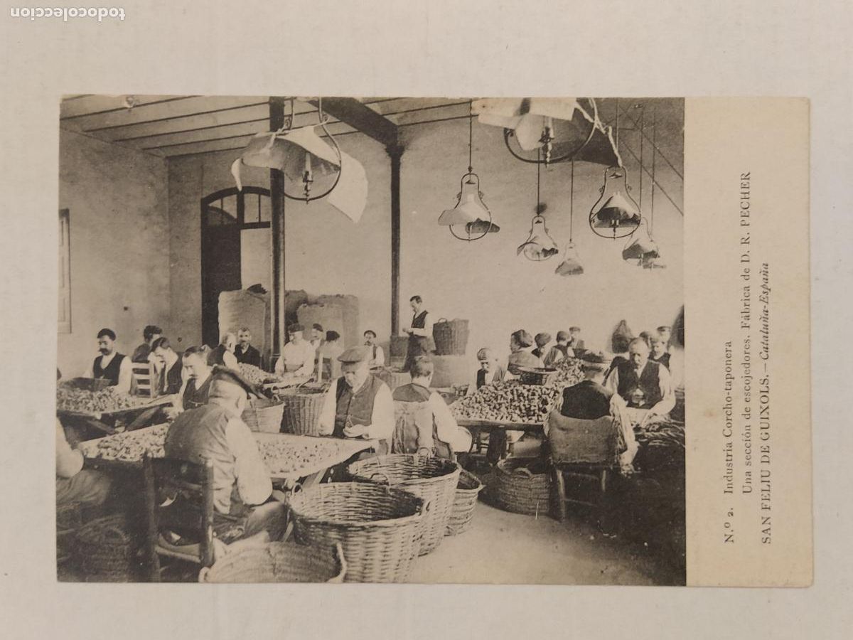 Postales: SANT FELIU DE GUIXOLS - INDUSTRIA CORCHO TAPONERA - FABRICA D.R. PECHER -POSTAL ANTIGUA-(116.194)