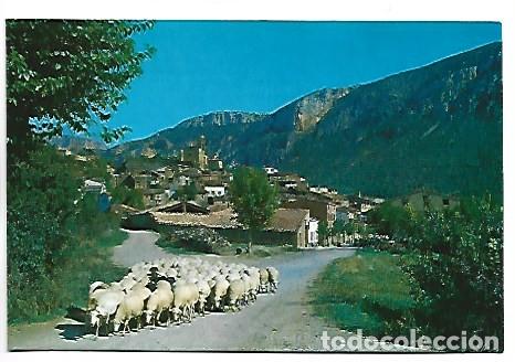 Postales: VISTA PARCIAL.- VILANOVA DE MEIA / LLEIDA