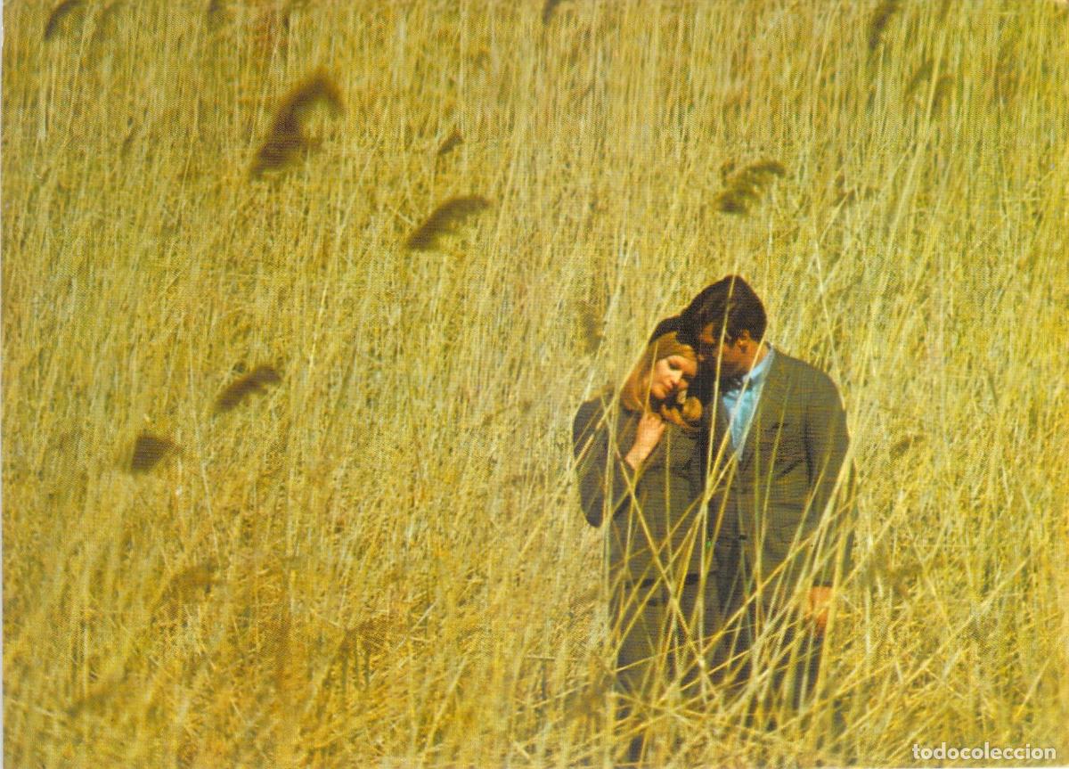 Postales: Postal de Pareja Rom&aacute;ntica en Campo de Espigas