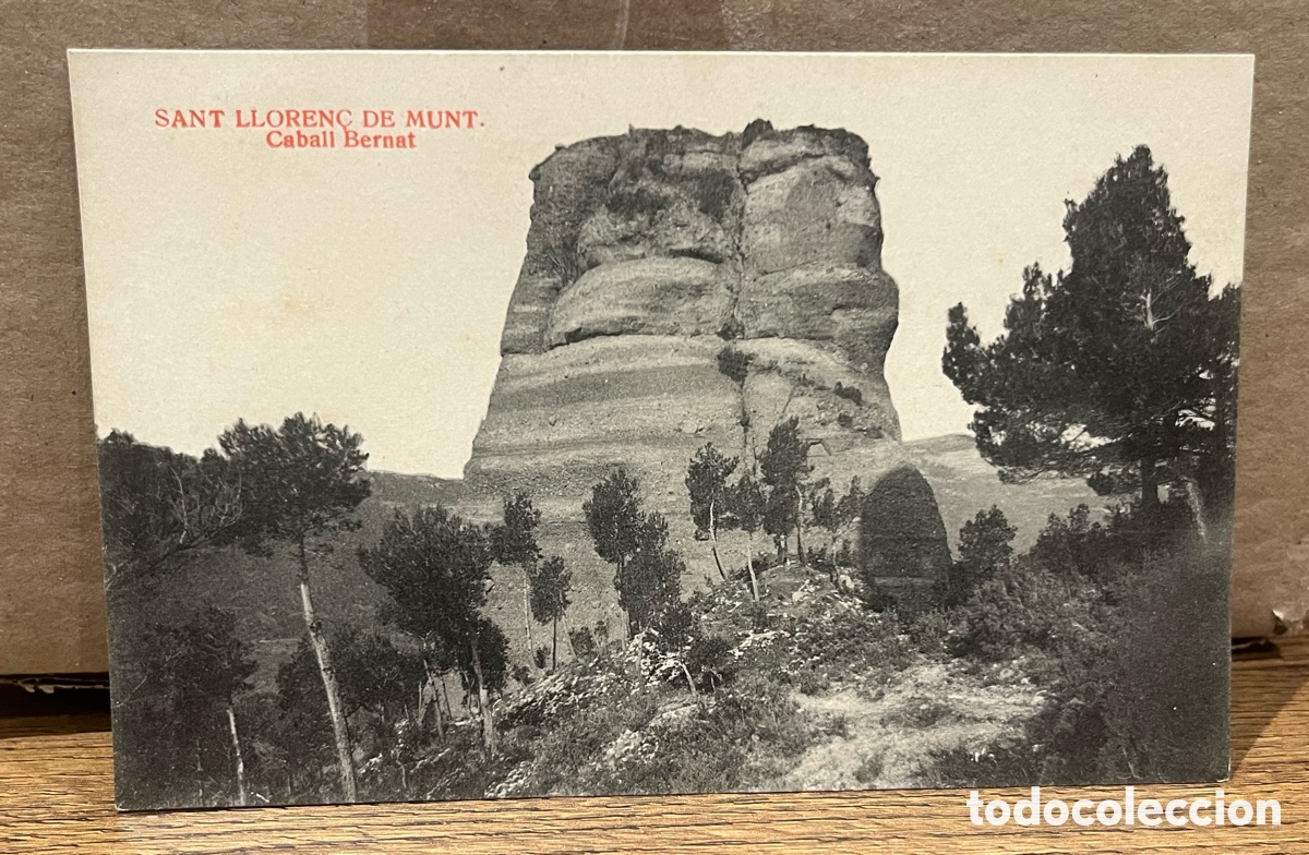 Postales: POSTAL: SANT LLOREN&Ccedil; DE MUNT - CABALL BERNAT