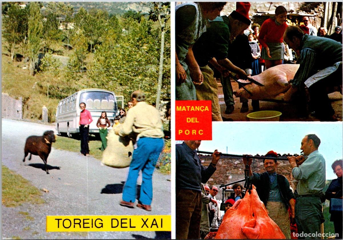 Postales: Ogassa (Girona) - Matan&ccedil;a del Porc - Toreig del Xai - Exclusiva Can Tal-Lar&agrave; - 150x104mm