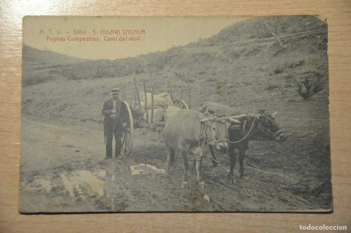 Cartoline: postal s.hilari sacalm, feynas campestres cami del moli atv 1469