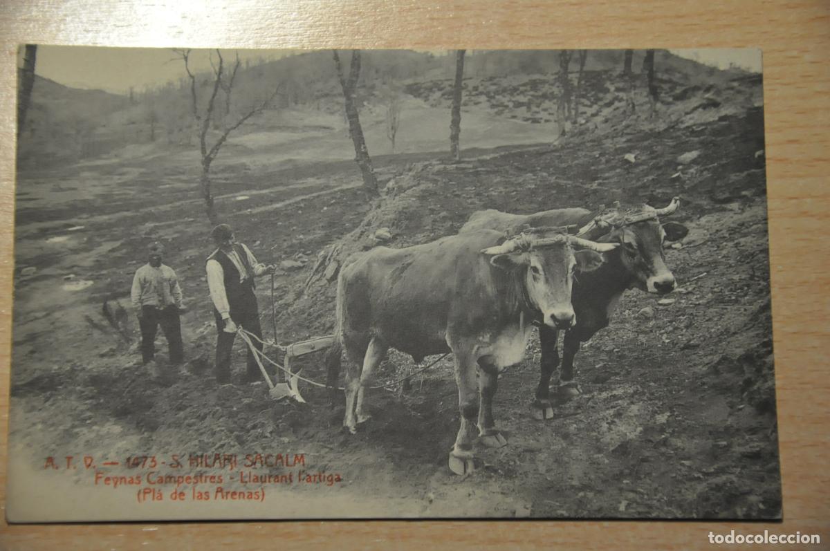 Postales: postal s.hilari sacalm, feynas campestres llaurant atv 1473