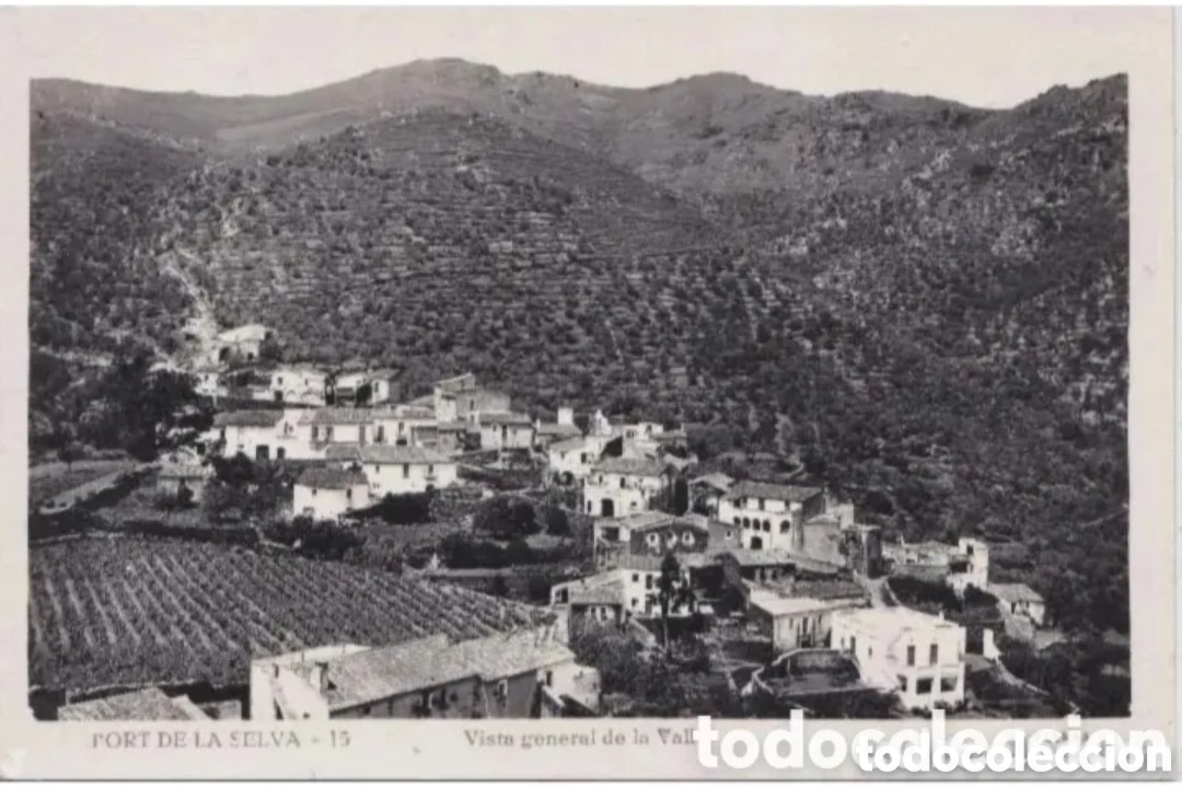 Postales: PORT DE LA SELVA (GERONA) - VISTA GENERAL DE LA VALL - LLENSA