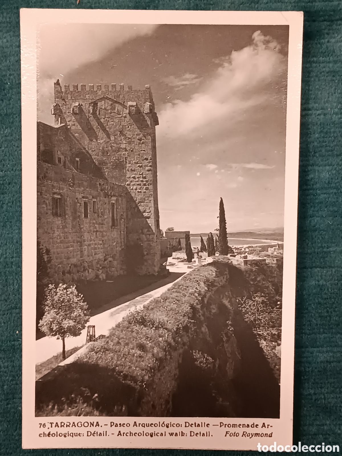 Postales: 76 TARRAGONA. Paseo Arquel&oacute;gico: Detalle
