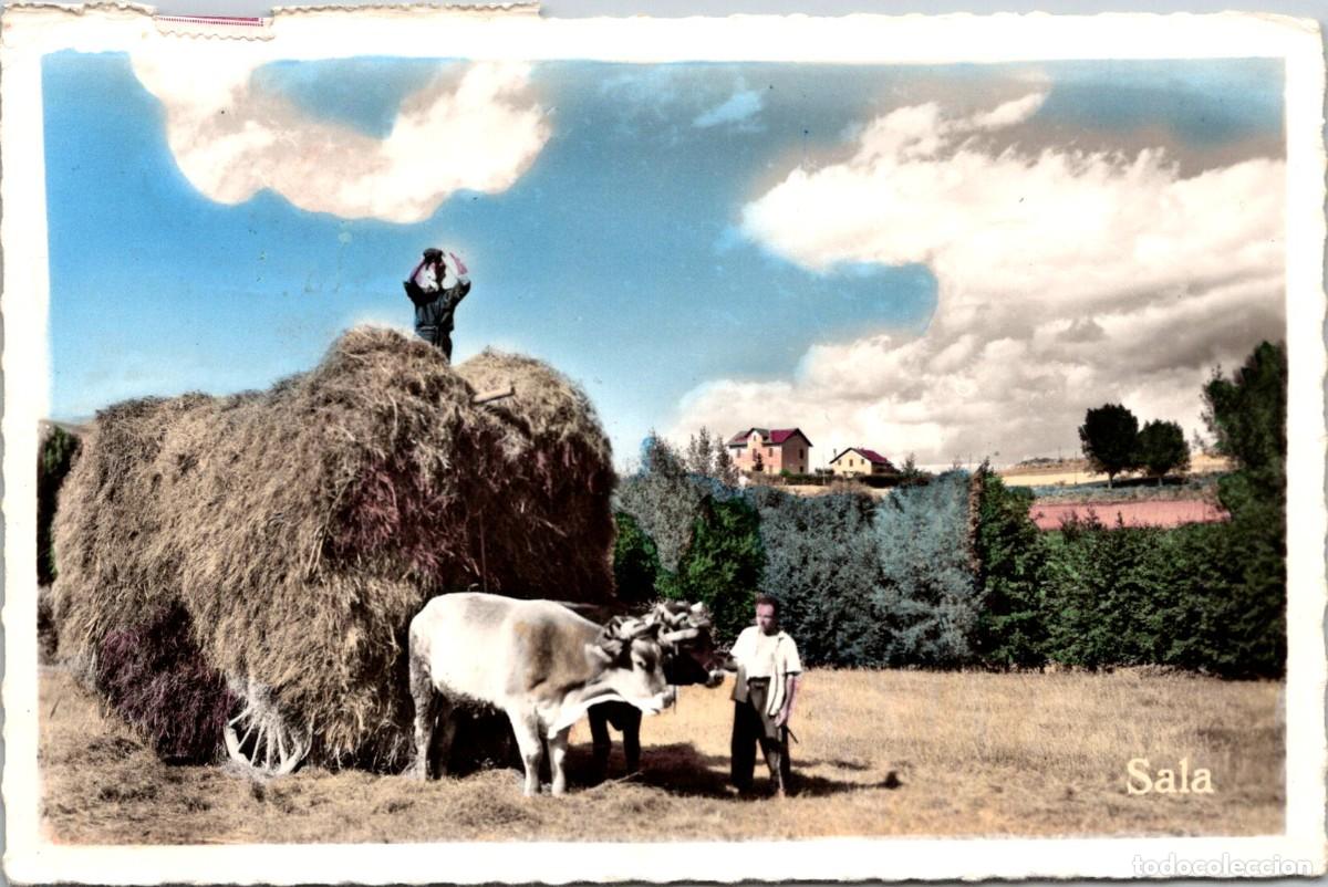 Postales: Bellver de Cerda&ntilde;a (L&eacute;rida) - Paisaje - Juan Sala 21 - Coloreada - 140x92mm