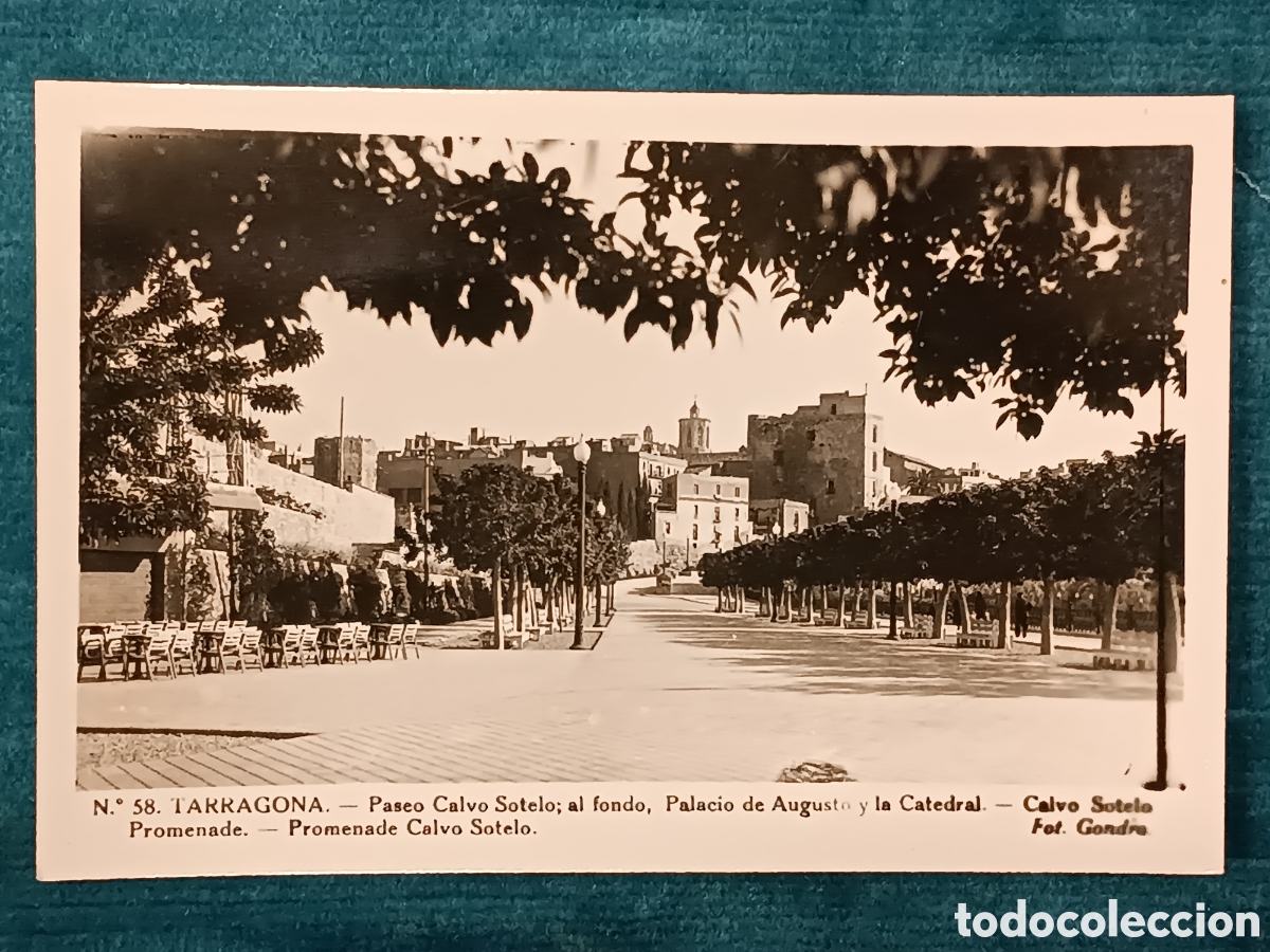 Postales: N&deg;58 TARRAGONA. Paseo Calvo Sotelo