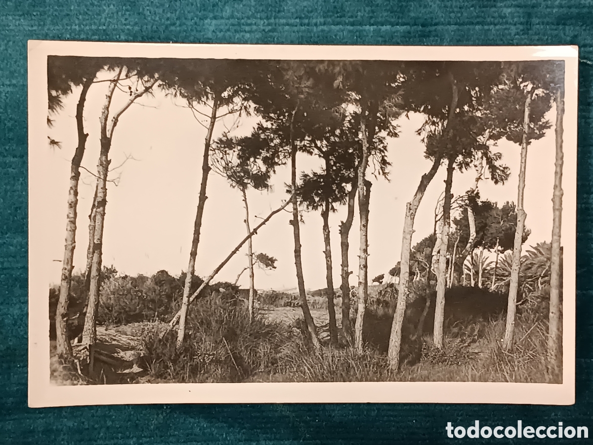 Postales: 41 TARRAGONA. El Pinar de la playa - Foto 1