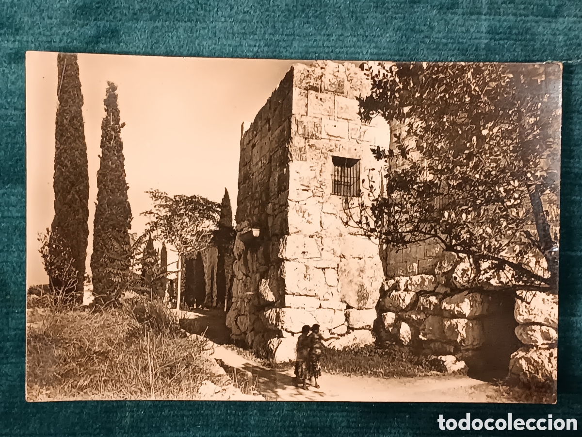 Postkarten: TARRAGONA 9. Paseo Arqueol&oacute;gico.