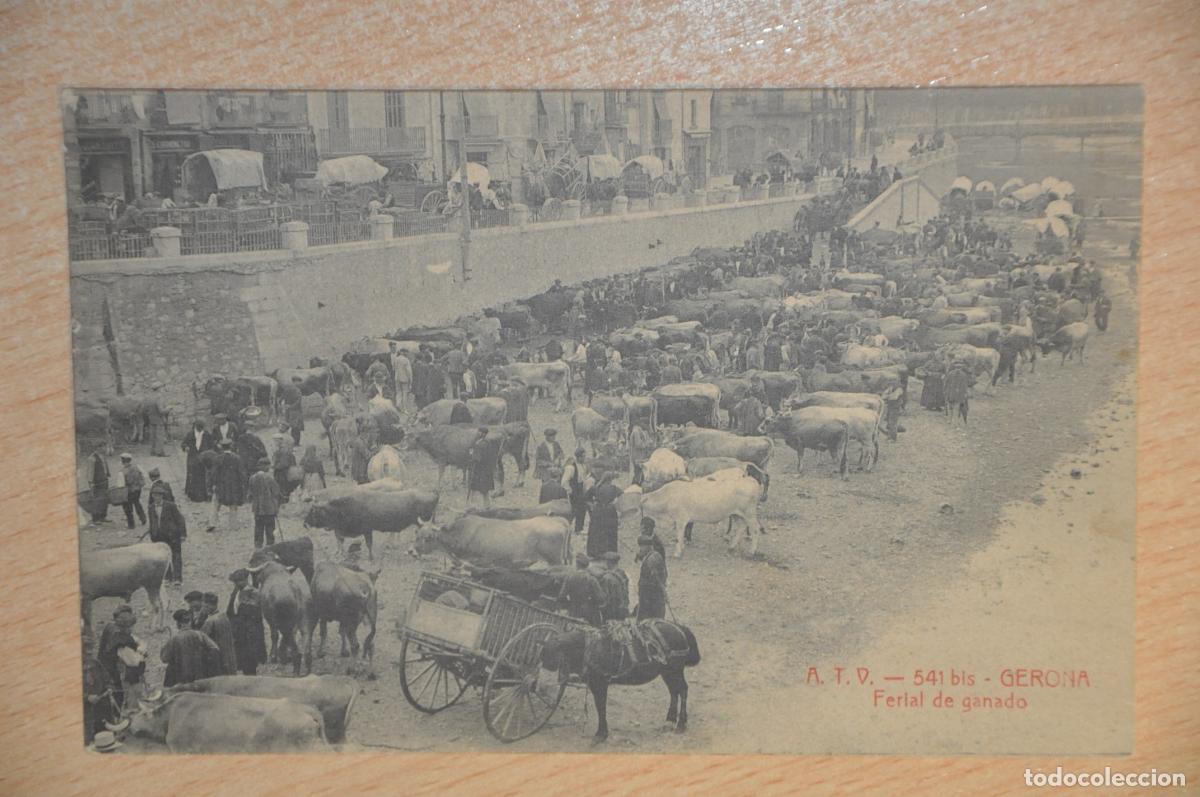 Postales: postal gerona, ferial de ganado atv 541 bis