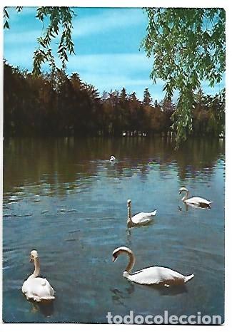 Postales: EL LAGO / THE LAKE.- PUIGCERDA / GIRONA