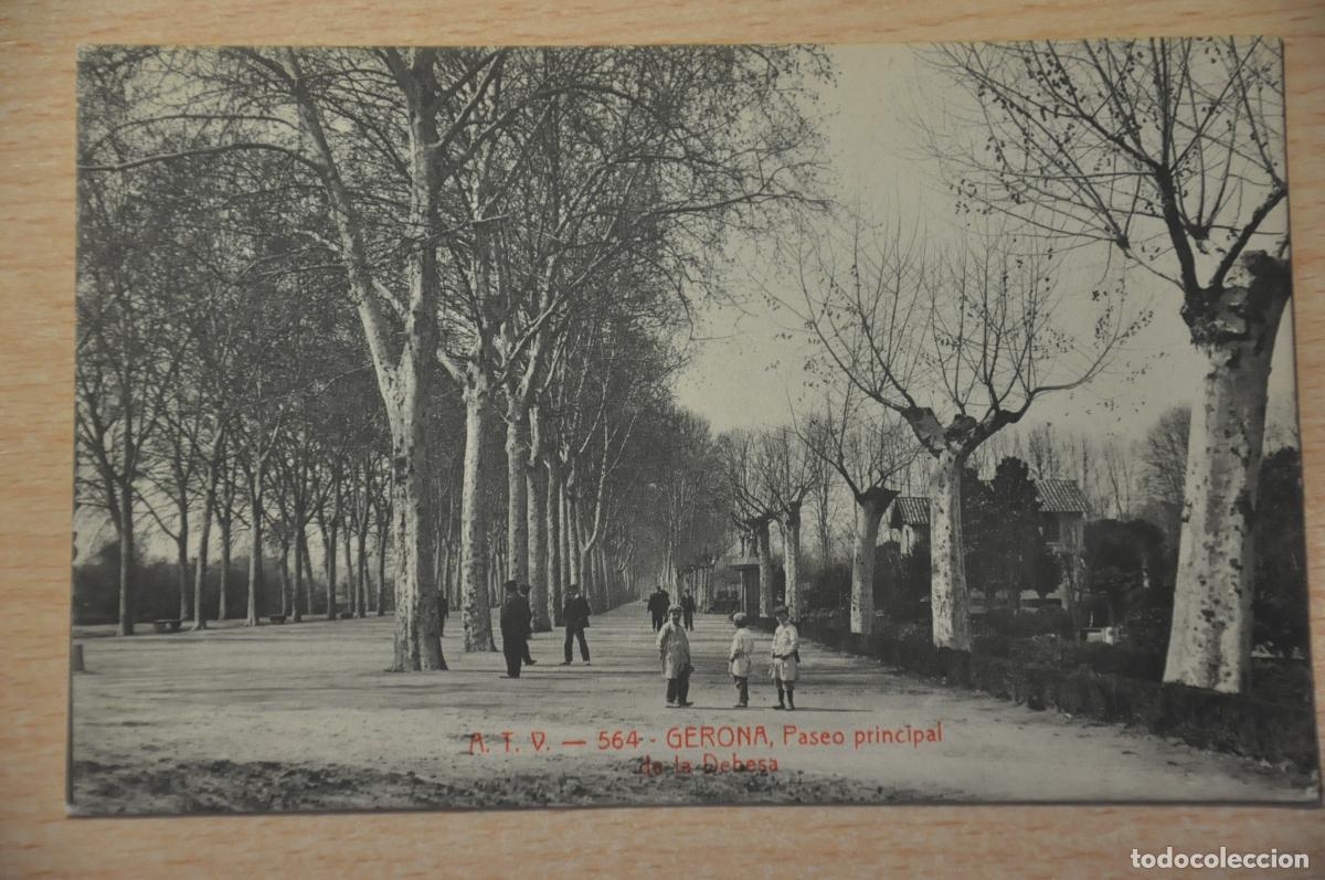 Postales: postal gerona, paseo principal atv 564