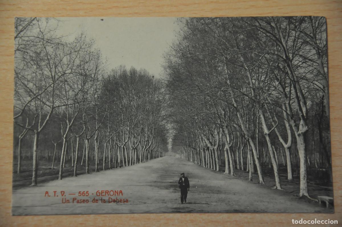 Postales: postal gerona, un paseo de la dehesa atv 565