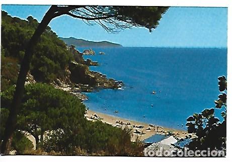 Postales: DETALLE DE LA COSTA - A DETAIL IN THE COAST.- COSTA BRAVA, BLANES / GIRONA