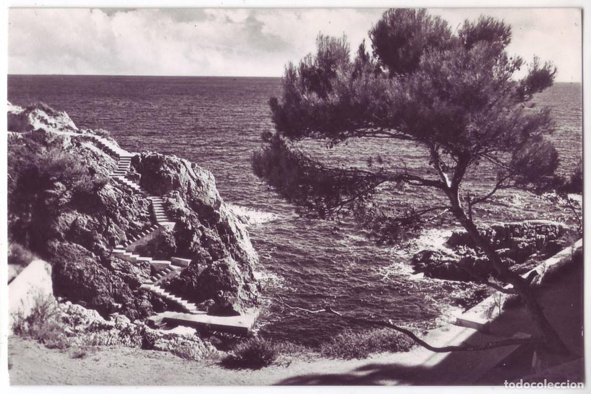 Postales: S'Agar&oacute; (Gerona): Cala de Vacas. Campa&ntilde;&aacute; / Puig Ferr&aacute;n. No circulada (A&ntilde;os 50)