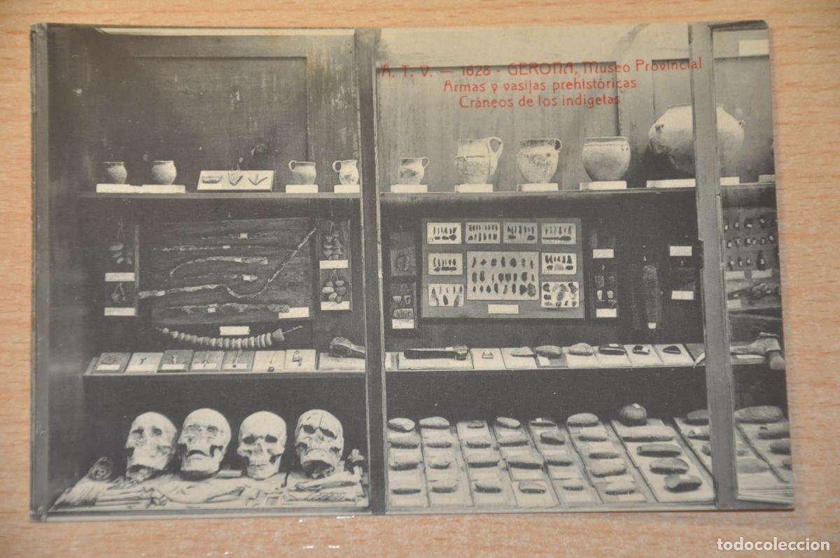 Postales: postal gerona, museo provincial, armas y vasijas prehistoricas, craneos de los indigetas atv 1628