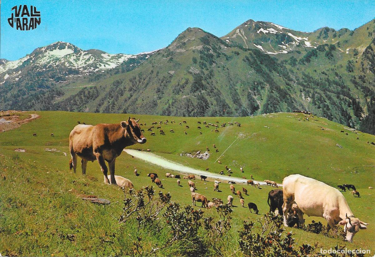 Postales: [POSTAL] Pla de Beret. Vall d'Aran (Lleida) A&ntilde;o 1972 (circulada)