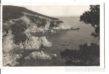 Postales: ANTIGUA POSTAL LLORET DE MAR COSTA BRAVA PINOS EN CALA TRONS FOTO MARTINEZ