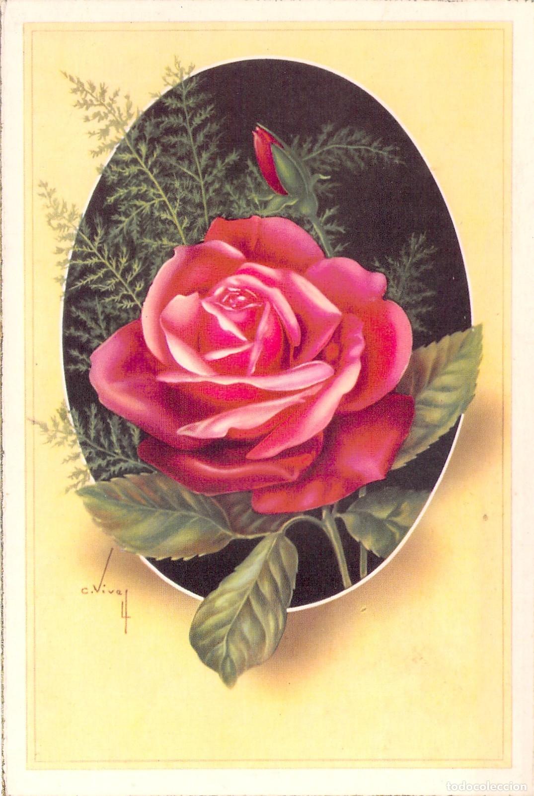 Postales: Postal con Ilustraci&oacute;n Art&iacute;stica de Rosa Roja por C. Vives