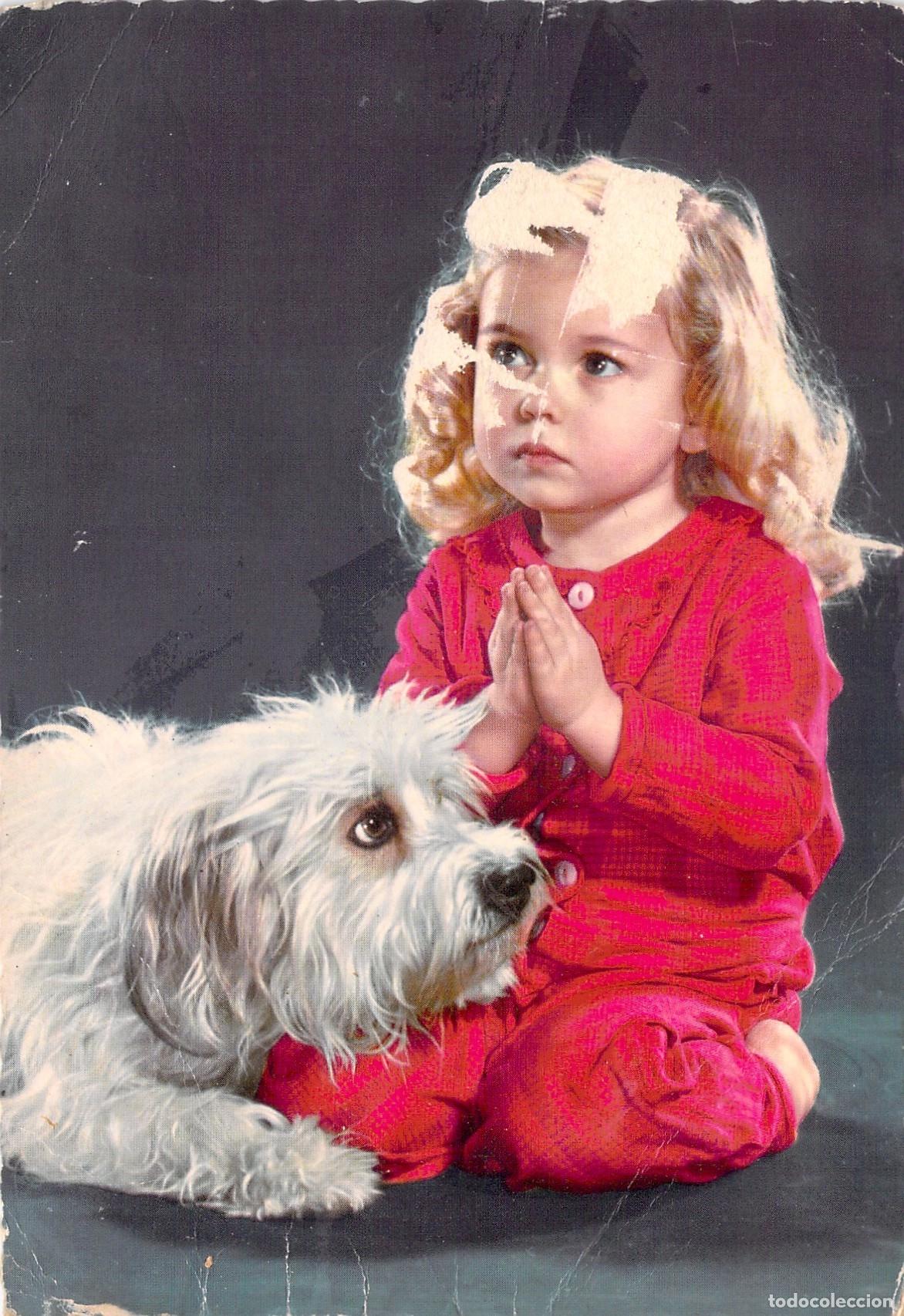 Postales: Postal de Ni&ntilde;a Rezando con Perro Blanco y Mensaje de Navidad