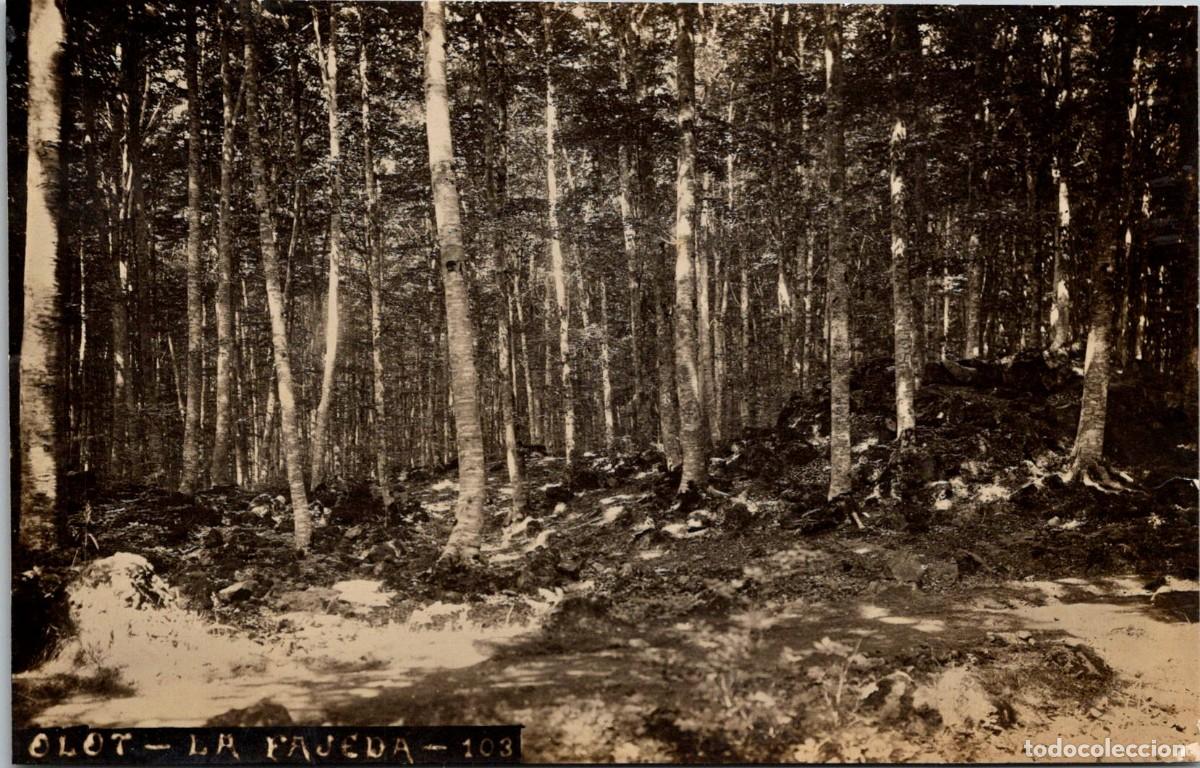 Postales: Olot - La Fajeda - n&ordm; 103 - Fotogr&aacute;fica - Sin m&aacute;s datos - 140x89mm