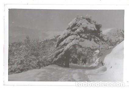 Postales: ANTIGUA APOSTAL FOTOGRAFICA LA MOLINA NEVADA