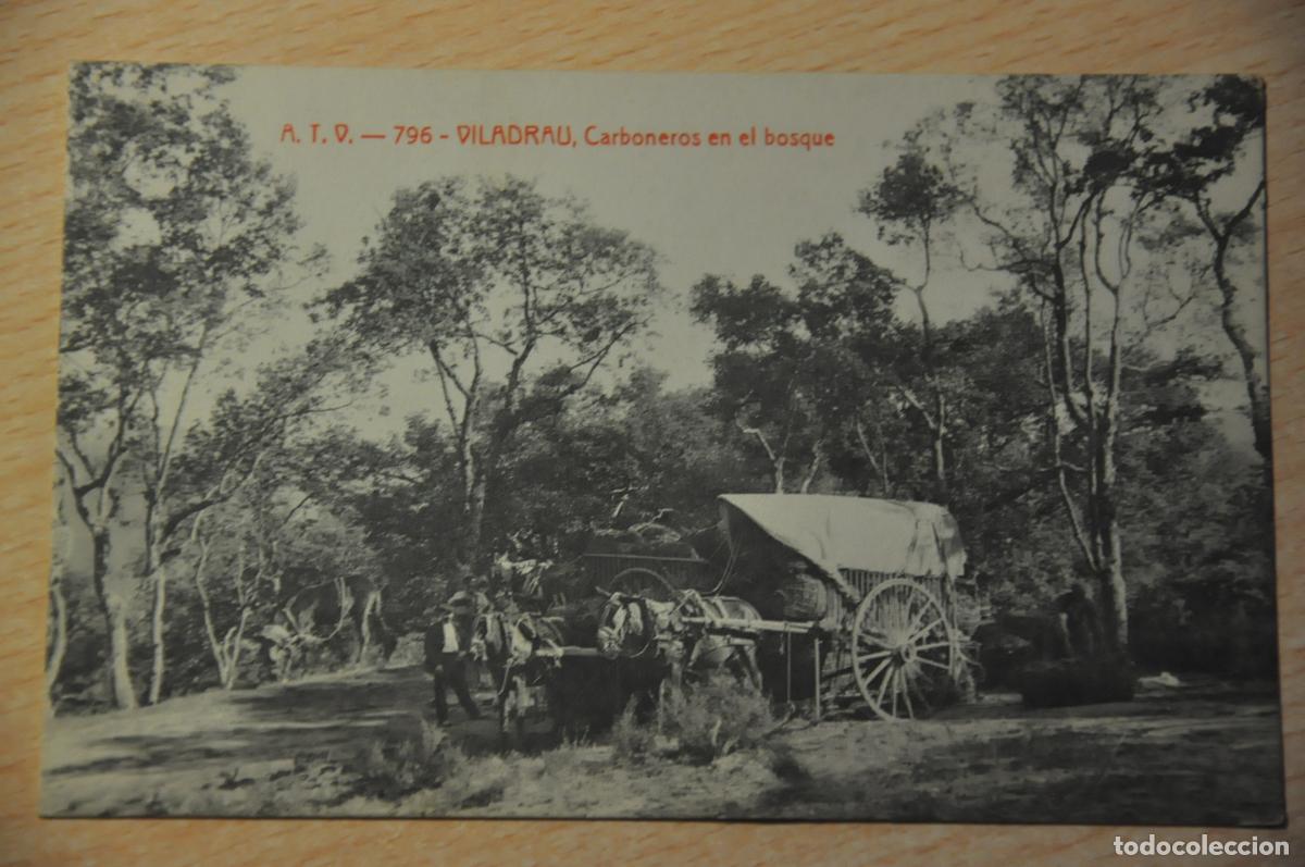 Postales: postal viladrau, carboneros en el bosque atv 796