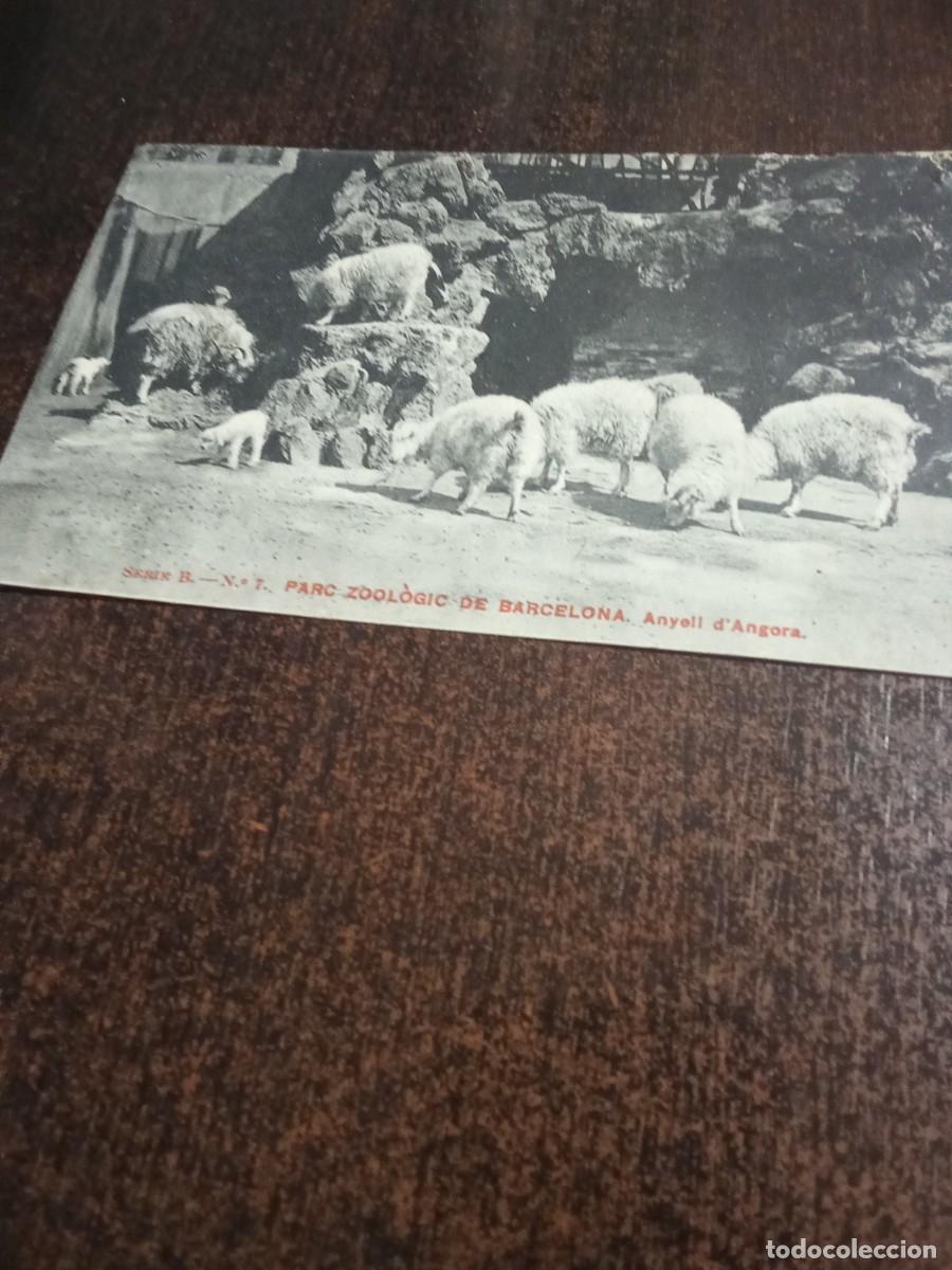 Postales: Parc Zoologic de Barcelona. - Foto 1