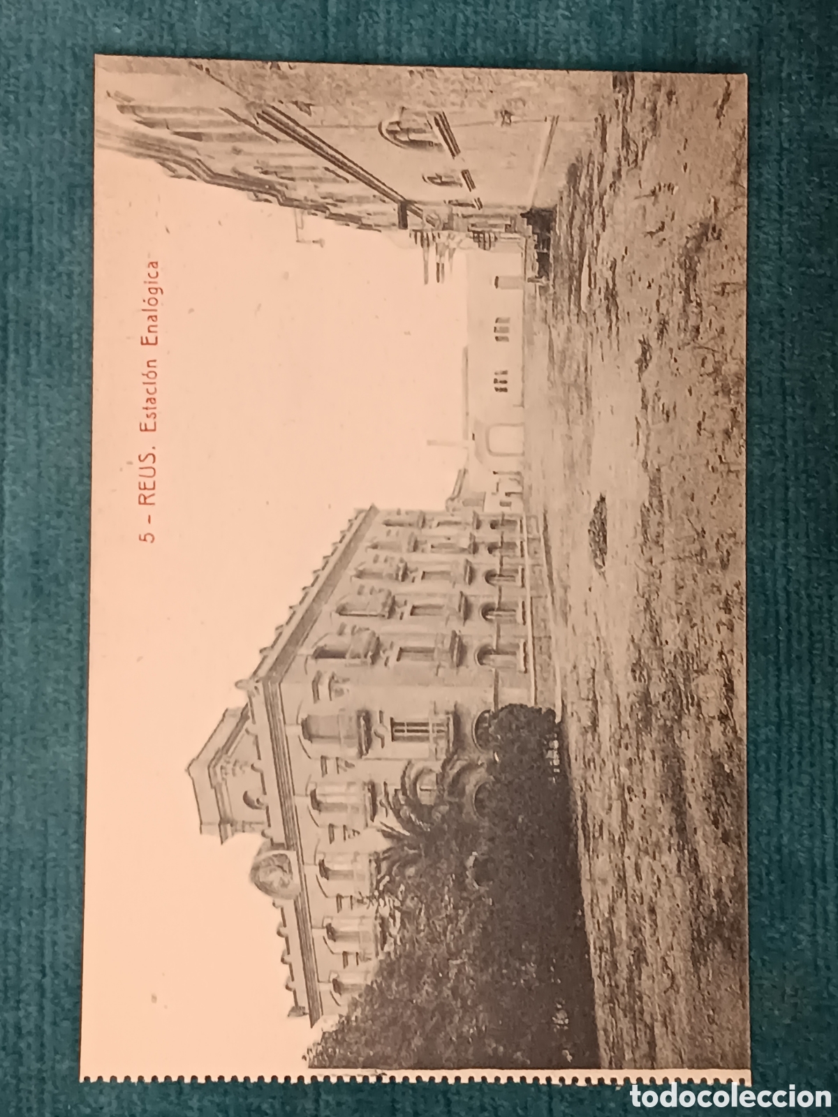 Postales: 5 REUS. Estaci&oacute;n En&aacute;logica