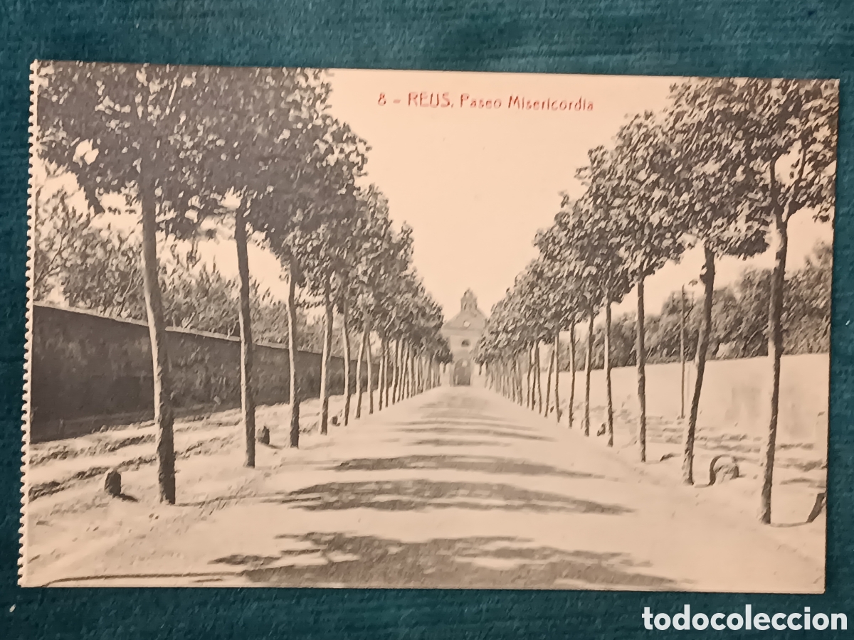Postales: 8 REUS. Paseo Misericordia