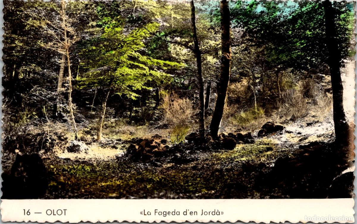 Postales: Olot - La Fageda d'en Jord&agrave; - n&ordm; 16 - Sin m&aacute;s datos - Coloreada - 140x88mm