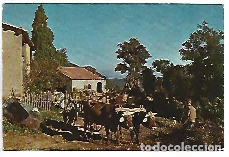 Postales: MASIA TIPICA - TYPICAL COUNTRY HOUSE.- ARBUCIAS