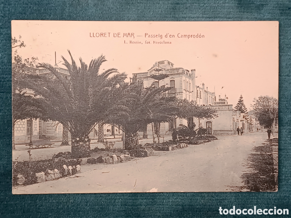 Postales: LLORET DE MAR. Passeig d'en Camprod&oacute;n
