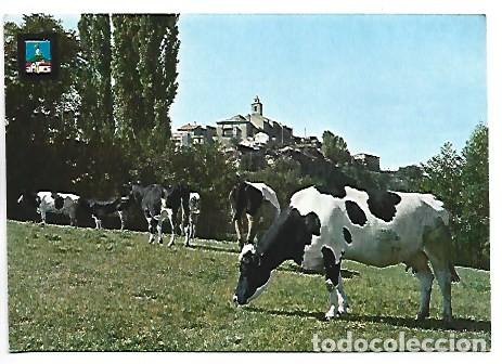 Postales: VISTA GENERAL.- BELLVER DE CERDANYA