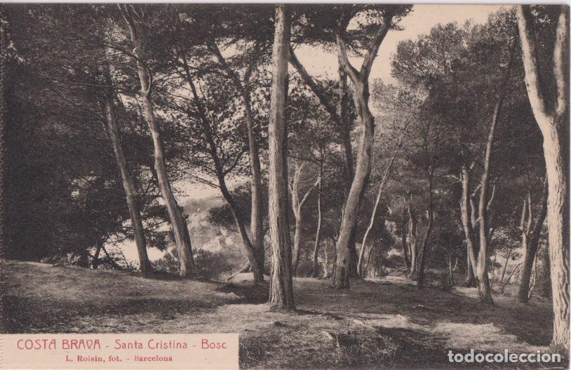 Postales: COSTA BRAVA, SANTA CRISTINA, BOSC &ndash; L.ROISIN, FOT. - S/C