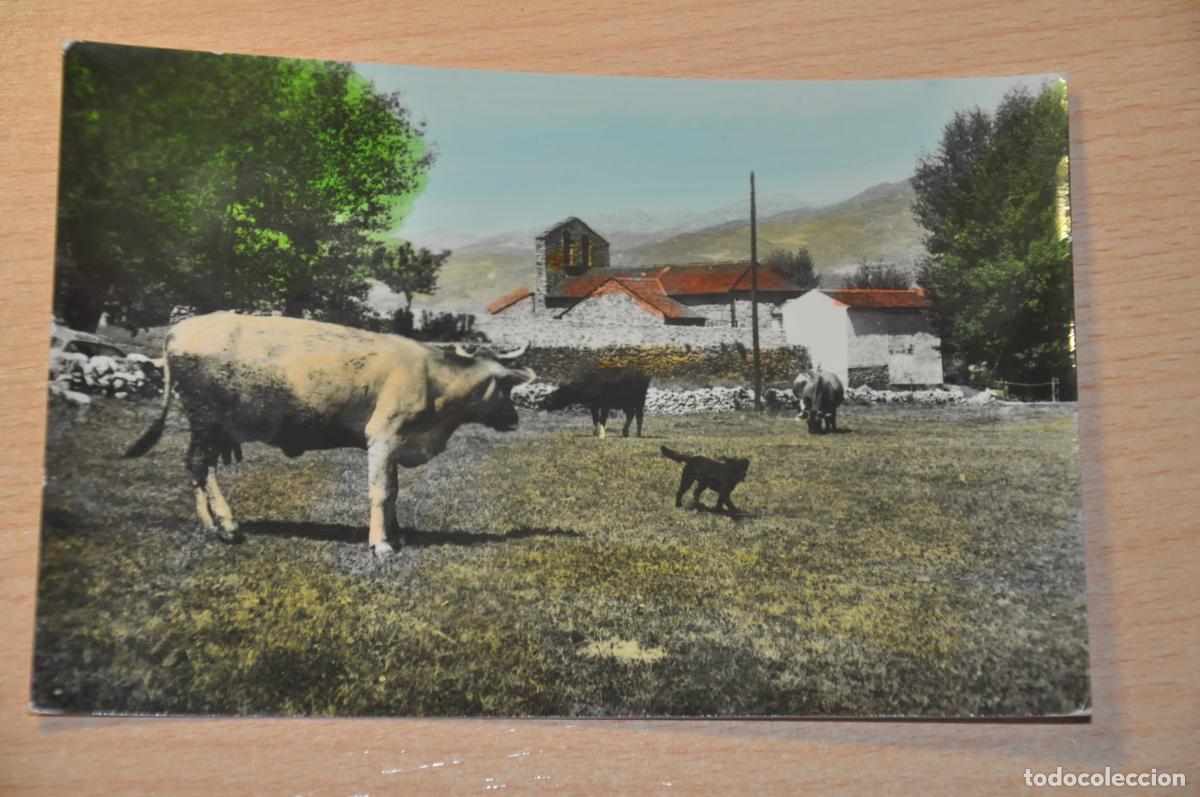Postales: postal bellver de cerda&ntilde;a, bar, foto janot
