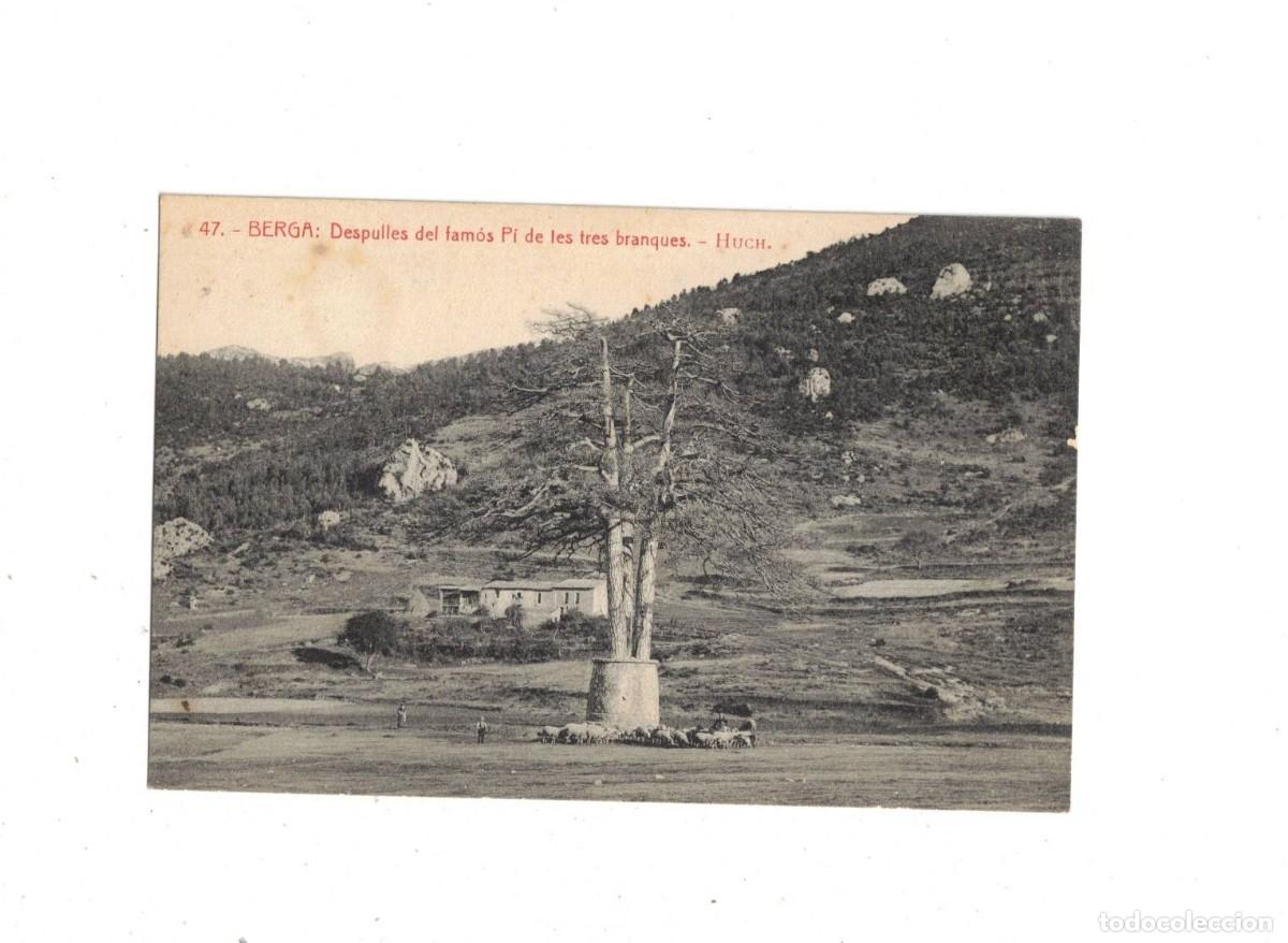 Postales: BERGA. DESPULLES P&Iacute; DE LES TRES BRANQUES. 47 HUCH