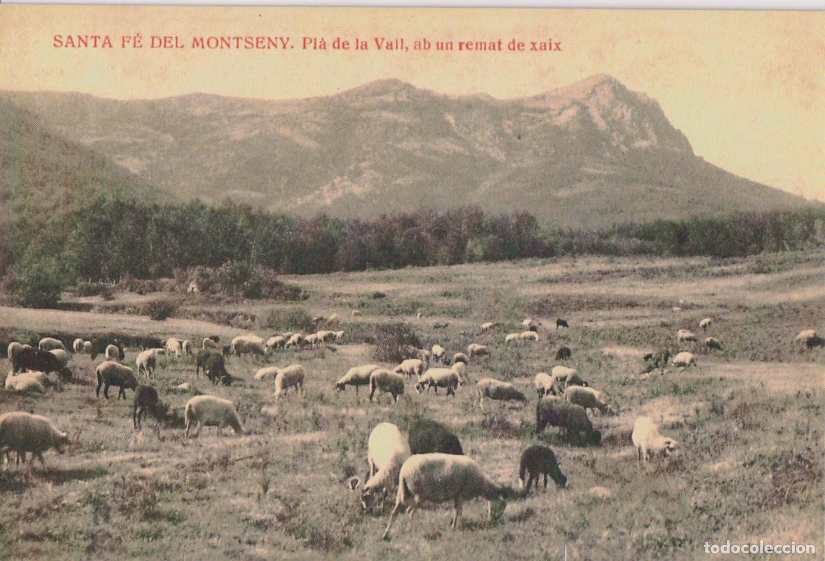 Postales: SANTA FE DEL MONTSENY PL&Agrave; DE LA VALL, AMB UN REMAT DE XAIX