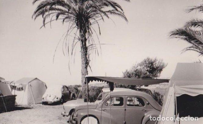 Postales: CAMPING LAS PALMERAS. TARRAGONA. UN DETALLE. CHINCHILLA. SEG&Uacute;
