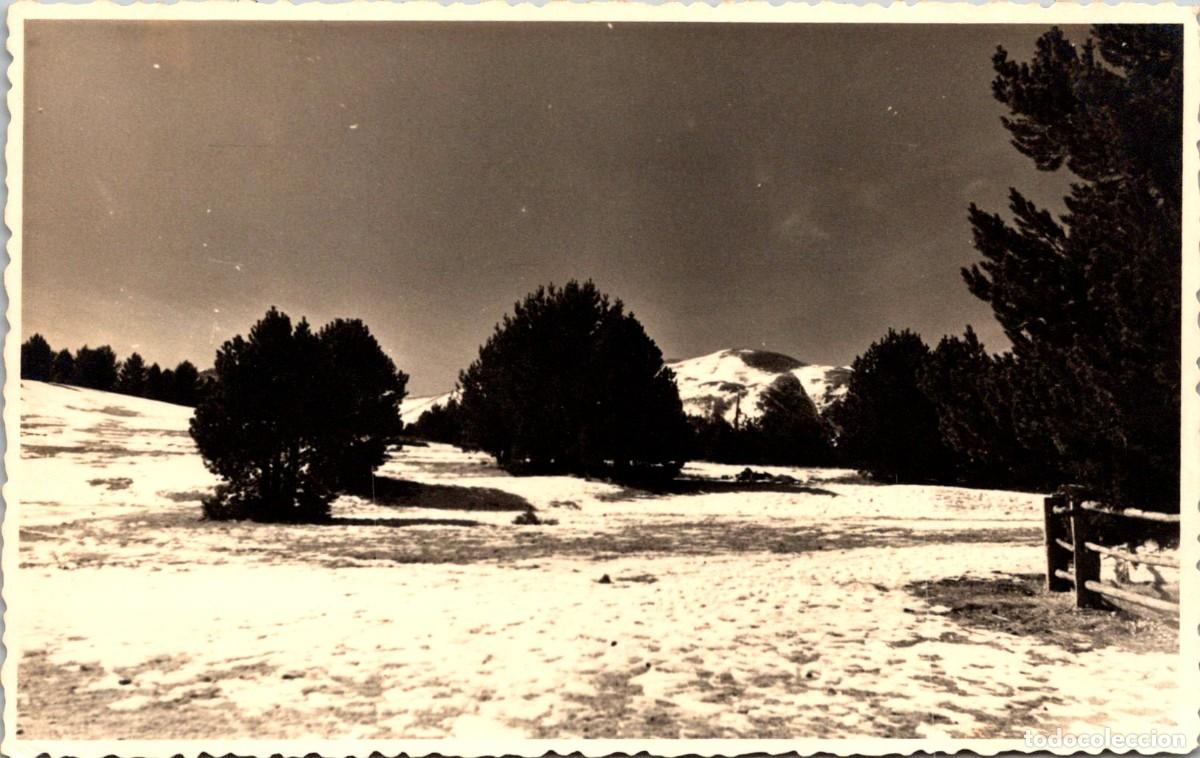 Postales: La Molina - Vista parcial - Pistas - Fotogr&aacute;fica (Papel Negtor) - 139x87mm - &Uacute;nica