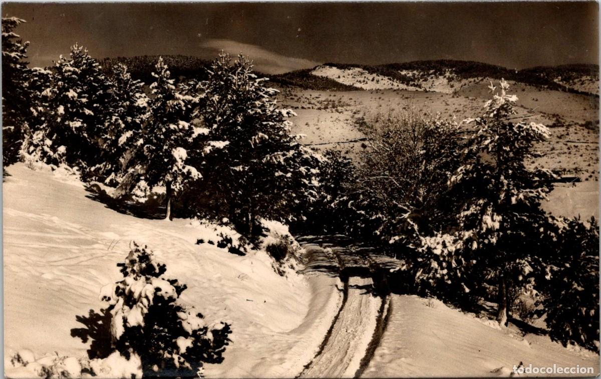 Postales: La Molina - Paisaje - Carretera - Zerkowitz 9938 - 139x88mm